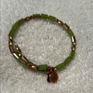 Alex and Ani vintage 66 bracelet